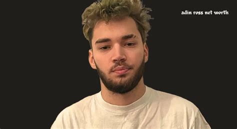 adin ross vermögen|Adin Ross Net Worth 2024: Age, GF, Twitch Deal,。